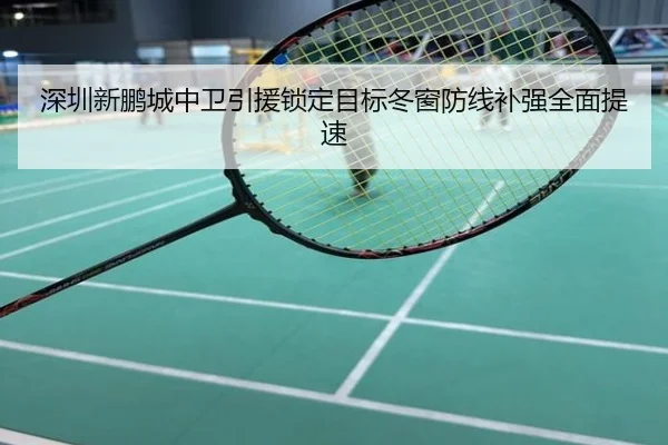 深圳新鹏城中卫引援锁定目标冬窗防线补强全面提速